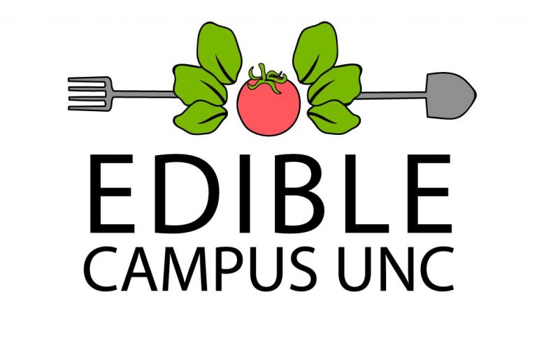 eclogo